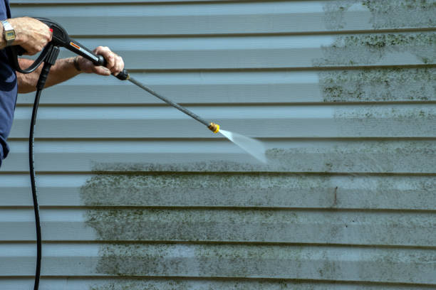 Professional Pressure Washing Services in Woodland, WA